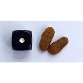 Homie Süper Premium Düşük Tahıllı Kuzu Etli Yetişkin Köpek Maması 12 Kg thumbnail 2