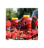 Prado Girabolu Meyvesi (GİLABURU, GİREBOLU) 10 Lt -5 kg Meyve GIRABOLU - 4
