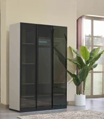 Takım ROMA Genç Oda 90431 Urlu Karyola Komodin Çalışma Masa Koltuk CAM Dolap - 2