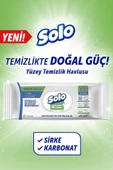 Solo Temizlikte Doğal Güç Okaliptus&çam Esintisi Yüzey Temizlik Havlusu 100 Yaprak - 2