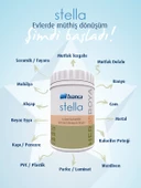 Bianca Stella Su Bazlı Saf Akrilik Boya - Ceviz 0.25 Lt (Ahşap Renkler) thumbnail 2