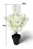 Nettenevime Yapay Ağaç Bahardalı Ağacı Beyaz Japon Kiraz Çiçeği Sakura Çiçeği 70cm Siyah Plastik Saksılı thumbnail 6