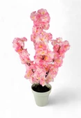 Nettenevime Yapay Ağaç Bahardalı Ağacı Pembe Japon Kiraz Çiçeği Sakura Çiçeği 70cm Beyaz Plastik Saksılı thumbnail 1