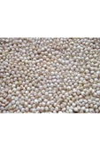Beyaz Sorgum Tohumu 1000 gr - 3