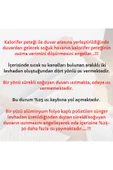 Kalorifer Peteği Arkası Isı Yalıtım Levhası 50x100 Cm, 4 Adet - 3