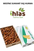 İhlas Medine Yaş Hurma 3.2 Kilo Yumuşak Sukkeri Hurma - 2