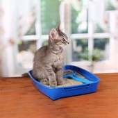 Sanicat Active Marsilya Sabunlu Topaklaşan Kedi Kumu İnce 10 Lt - 3