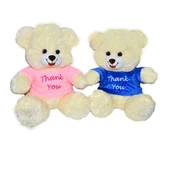 001507 T-Shirtlü Oturan Peluş Ayı 38 cm - 1