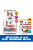 SCIENCE PLAN Somonlu Kısırlaştırılmış Yetişkin Kedi Maması 8+2 kg - 7