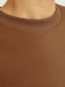 JPRBLACHAD BRANDING SWEAT CREW NECK LN Nuthatch Nuthatch XL thumbnail 4