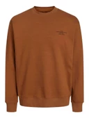 JPRBLACHAD BRANDING SWEAT CREW NECK LN Nuthatch Nuthatch XL thumbnail 1