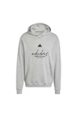 Adidas IX1316 Bl Ft Hd Q3 Erkek Sweatshirt thumbnail 3