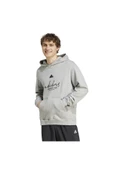 Adidas IX1316 Bl Ft Hd Q3 Erkek Sweatshirt thumbnail 1