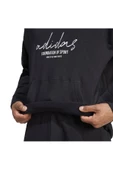 Adidas IW3533 Bl Ft Hd Q3 Erkek Sweatshirt - 4