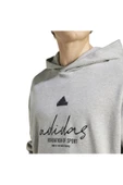 Adidas IX1316 Bl Ft Hd Q3 Erkek Sweatshirt thumbnail 5