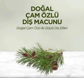 Eyüp Sabri Tuncer Doğal Diş Macunu 90 Gr Çam Özlü - 2