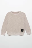 Etiket Detaylı Sweatshirt Jogger Taş Alt Üst Takım - 2