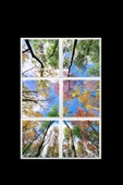 Gökyüzü Panel 124cm X 186cm-altılı- Led-sıva Üstü-324 Watt-salon Led Aydınlatma-avize Modelleri-led Işık - 2