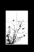 Gökyüzü Panel 124cm X 186cm-altılı- Led-sıva Üstü-324 Watt-iş Yeri Led Aydınlatma-avize Modelleri - 2
