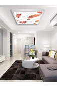 Gökyüzü Panel Salon Avize-60x60-54w-led-armatür-oturma-odası-aydınlatma-desenli-panel-uygun-avize-modelleri-new - 2