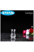 Rayan Lavinya Star 6'lı Çay Bardağı - 1