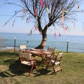 Marmaris Katlanır Ahşap Bahçe Balkon Sandalyesi -Beyaz, Kolçaklı, Minderli - 7