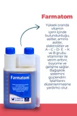 FARMATOM Kuşlar Için Kanatlı Vitamini 500 ml C Vitaminli - 2