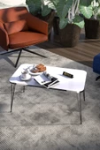 Zigon Sehpa Kr Ve Orta Sehpa Kr Set Gümüş Beyaz Tel Ayak Siyah - 3