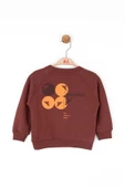 Erkek Bebek Discover Sweat - 11