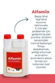 ALFAMİN Alfamin Kuşlar Için Ishal Kuruma Sallabas Ürünü 500 ml - 2