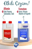 Munich Vet 2li Set Kuşlar Için Farmatom Vitamin + Alfamin Ishal Seti (500 Ml) - 2