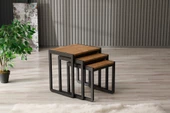 Arpelia Üçlü Zigon Sehpa 50x40x52/45x40x46/40x40x40 - 1