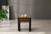 Arpelia Üçlü Zigon Sehpa 50x40x52/45x40x46/40x40x40 - 4