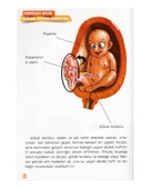 Doğum Hayata Merhaba Timaş Çocuk thumbnail 2