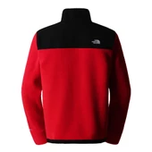 The North Face M ALPINE POLARTEC 200 FZ JACKET Erkek Ceket thumbnail 2