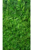 Çim Çit Örgü Telli Bahçe Çiti 200 Cm X 10 Mt 1 TOP - 3