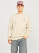 Jack & Jones Jprblachad Branding Sweat Crew Neck Ln Erkek Sweatshirt - 1