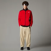 The North Face M Alpine Polartec 200 Fz Jacket Erkek Polar Ceket - 2