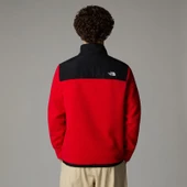 The North Face M Alpine Polartec 200 Fz Jacket Erkek Polar Ceket - 3