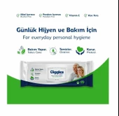 GİGGLES PERİNE VE VÜCUT TEMİZLEME HAVLUSU 50 Lİ - 2
