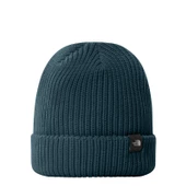 The North Face Tnf Fisherman Beanie Unisex Bere thumbnail 2