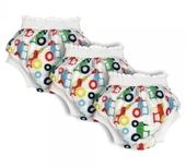 Sema Baby 3'lü Desenli Lüks Alıştırma Külodu No.2 15-20 kg - Cars - 1