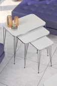 Zigon Sehpa Kr Ve Orta Sehpa Kr Set Gümüş Beyaz Tel - 2