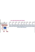 Kız Çocuk Pembe Kabarık Tüllü Hello Kitty Elbise - 4
