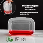 Porsima 1072 30'lu Buzluk Düzenleyici Saklama Kabı Kendinden Kapaklı Derin Dondurucu Saklama Kabı 1Lt Şeffaf thumbnail 2