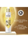 Pantene Pro-V Bond Repair Şampuan Yıpranmış Saçlar İçin 250 ml thumbnail 5