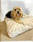 Stripe Ecru Kedi Köpek Minderi 65 x 65 cm - 1