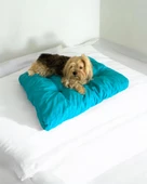 Pouchie Blue Kedi Köpek Minderi 60 x 55 cm - 1