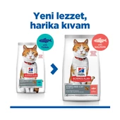 Hill's Scıence Plan Somonlu Kısırlaştırılmış Yetişkin Kedi Maması 8+2 kg SKT 01/26 - 5