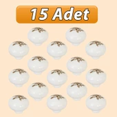 15 Adet Yasemin Kulp Beyaz Polimer Düğme Kulp Mantar Mobilya Mutfak Dolabı Çekmece Kulbu Kulpları thumbnail 1